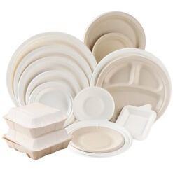 Sugarcane Tableware