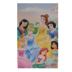 Group of Disney princesses posing together in front of a castle backdrop.