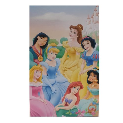 Group of Disney princesses posing together in front of a castle backdrop.