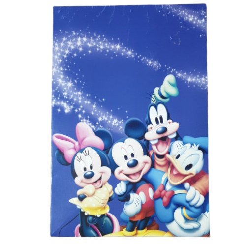 Group of Disney characters Mickey Mouse, Minnie Mouse, Donald Duck, Daisy Duck, and Goofy posing together against a blue starry background.