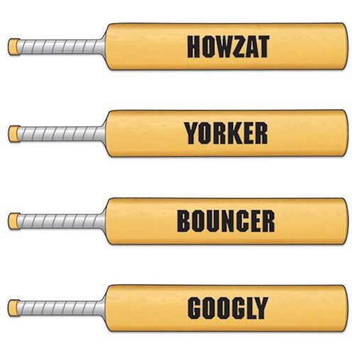 Cricket Bat Phrase Signs