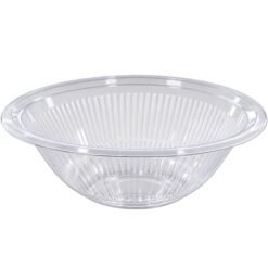 Medium Round Plastic Bowl Clear